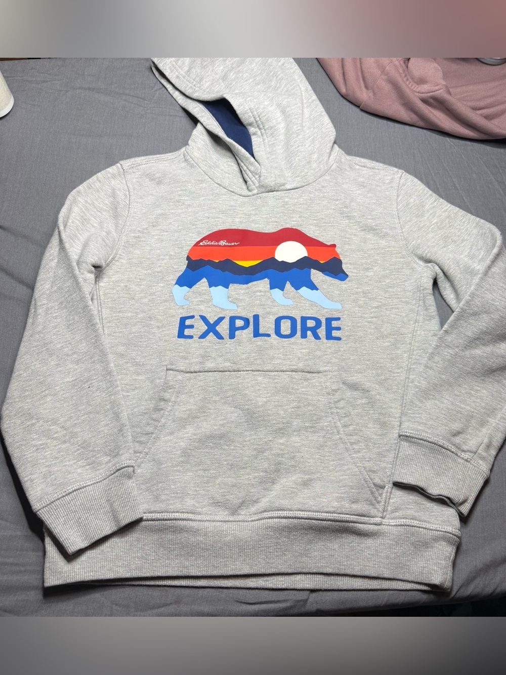 Eddie Bauer Light Gray Hoodie with Multicolor Bear Graphic - Picture 1 of 4